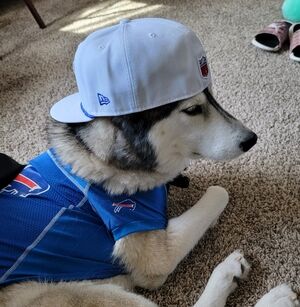 Meet your Posher, Jax